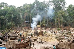 déforestation en Amazonie
