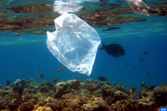 Des Milliards De Tonnes De Déchets Plastiques Submergent La Terre Etude Map Ecology 9777