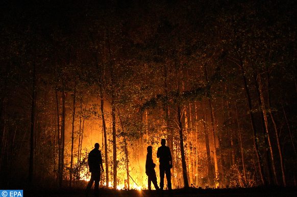 les feux de forêt