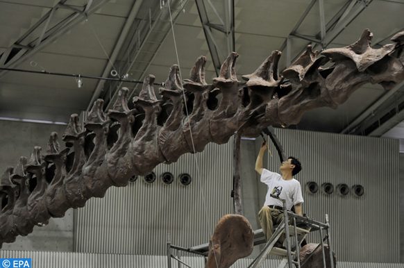 Kamuysaurus japonicus », une nouvelle espèce de dinosaure