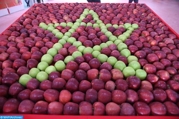 pommes de Bouzmou
