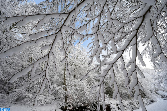 Tempête